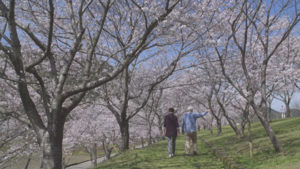 四万十〜いのちの仕舞い〜
