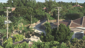 岡本太郎の沖縄