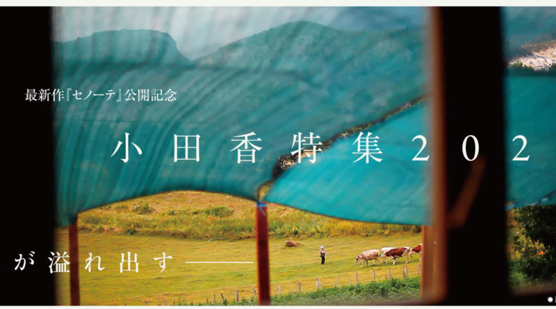 最新作『セノーテ』公開記念 小田香特集2020画像