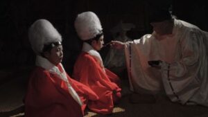 鹿の国画像