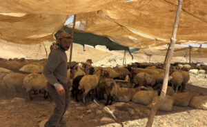 壁の外側と内側