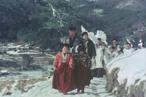 ゆきははなである　新野の雪まつり