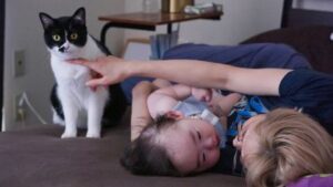 ライフテープサブ画像3