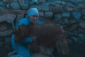 狼は夜やってくる