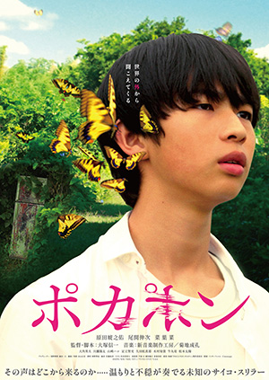 POCA PON ポカポン