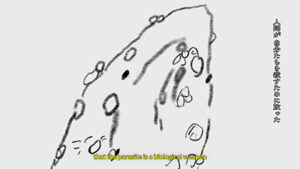 鮭になる